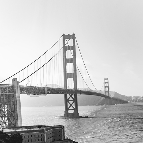 Startups Give Back San Francisco